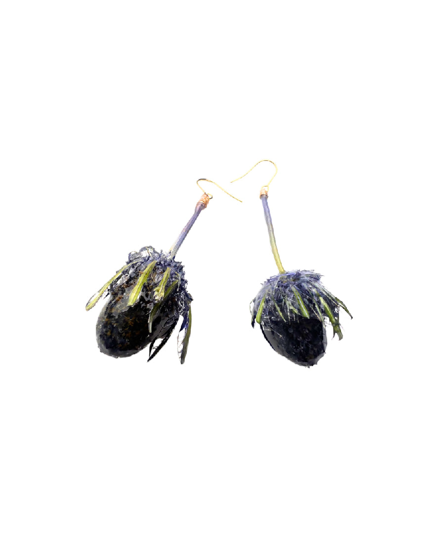 Forbiden Purle Berries