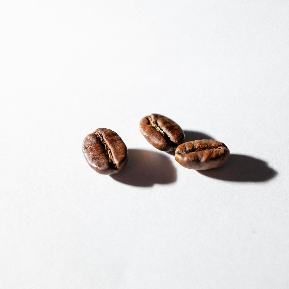Coffee Tasting