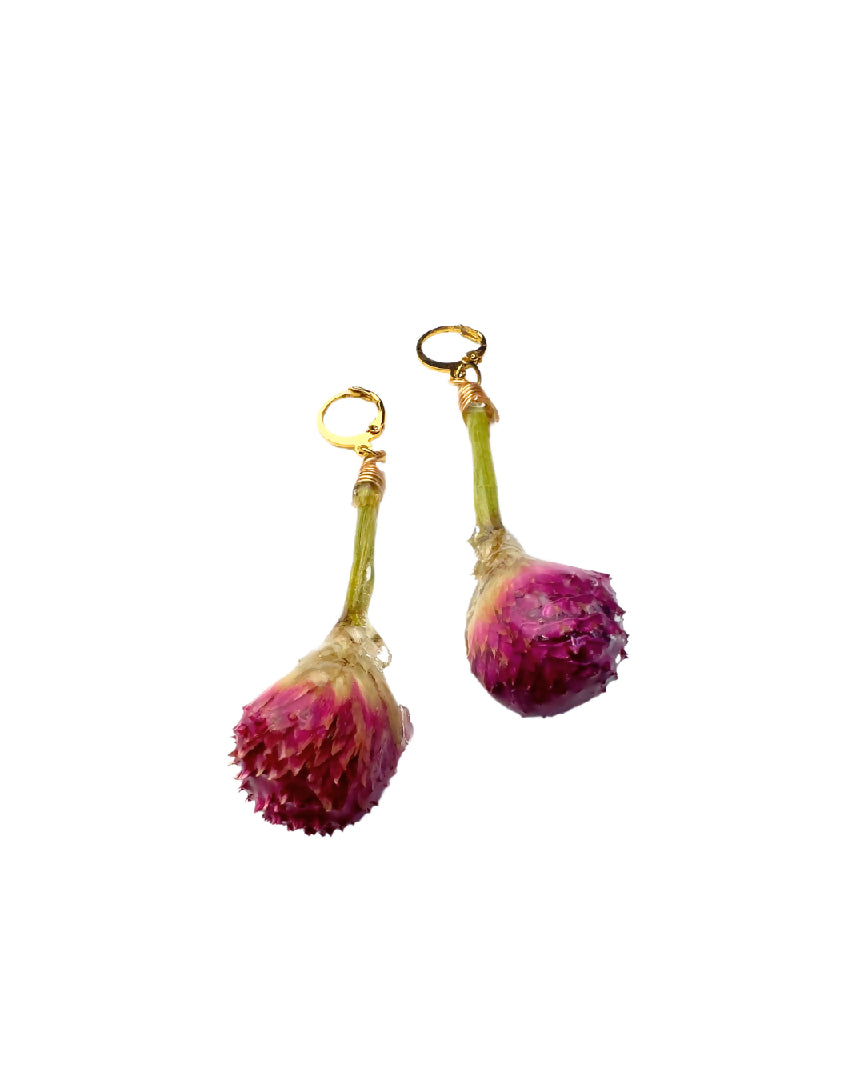 Globe Amaranth Lolipops
