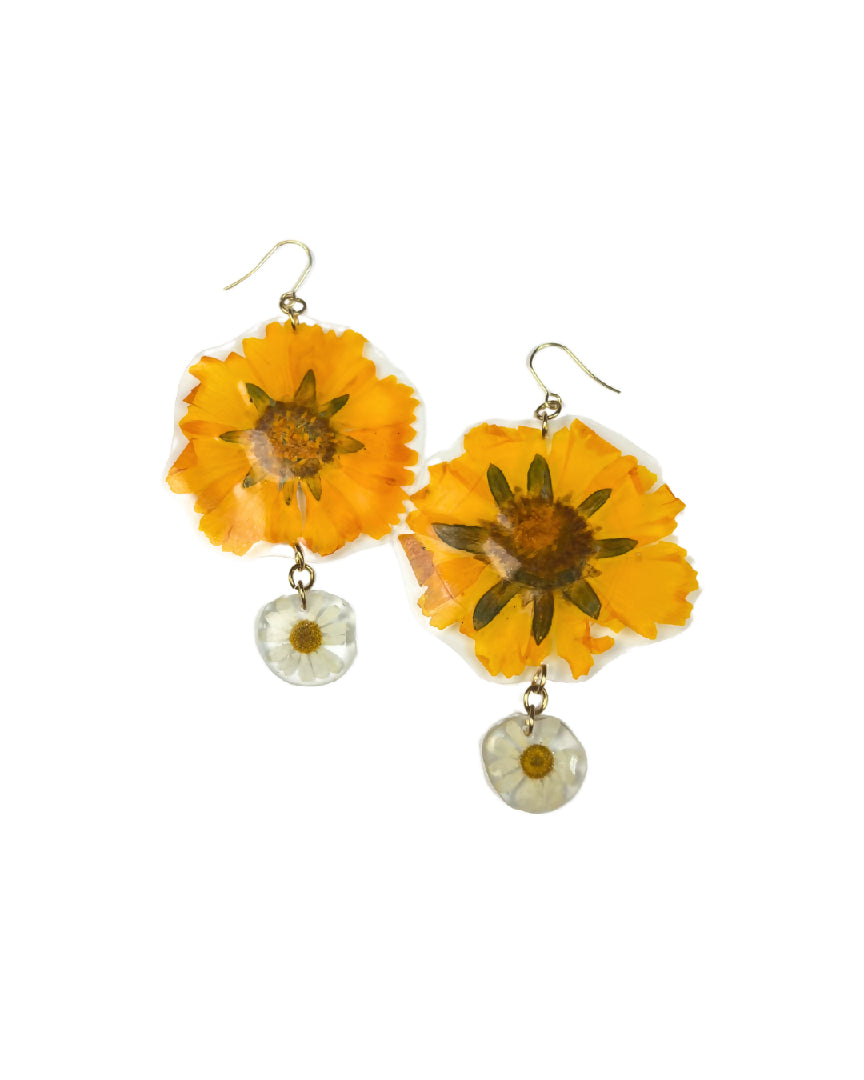 Sunny chamomile
